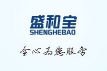 盛和宝合伙人2.0模式